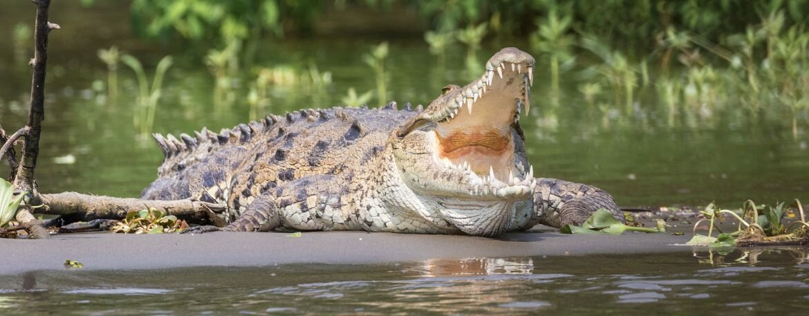 fishing in costa rica