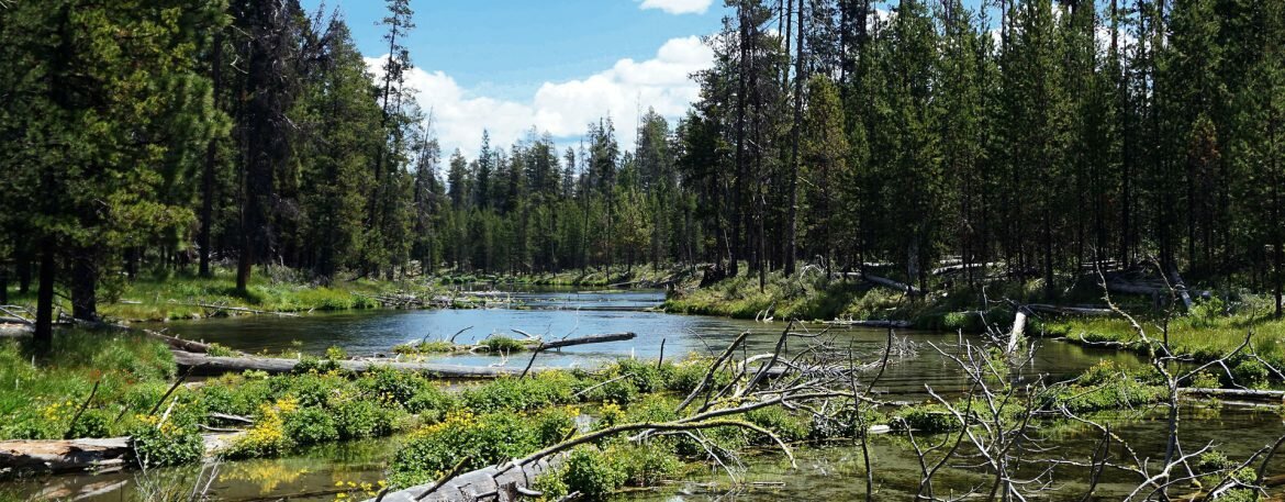 fishing in oregon